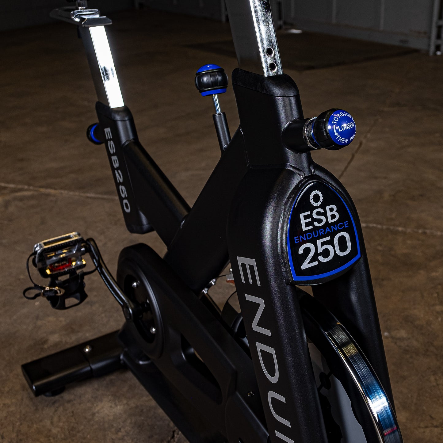 Body-Solid Endurance Spin Bike ESB250