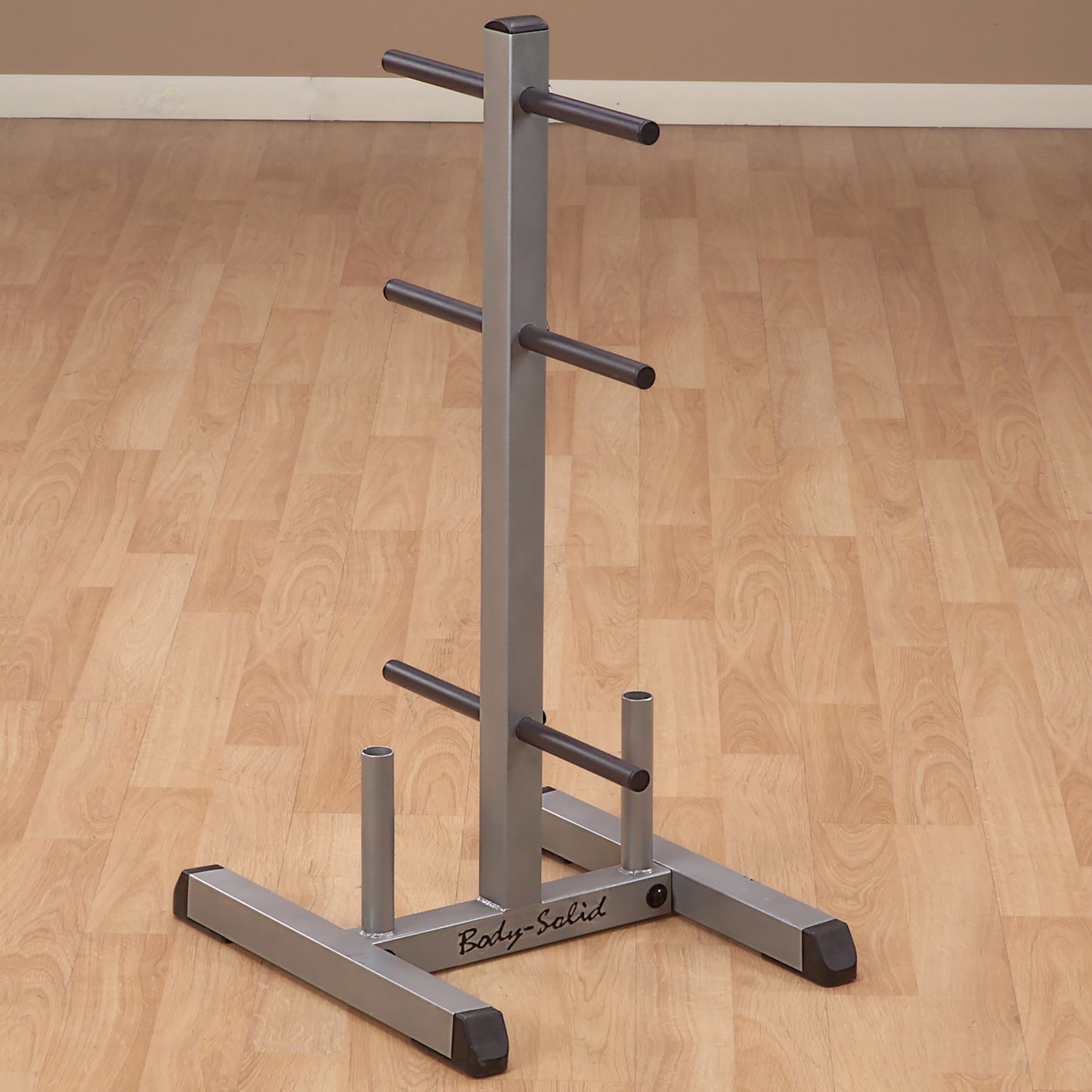 Body-Solid Standard Plate Tree & Bar Holder GSWT