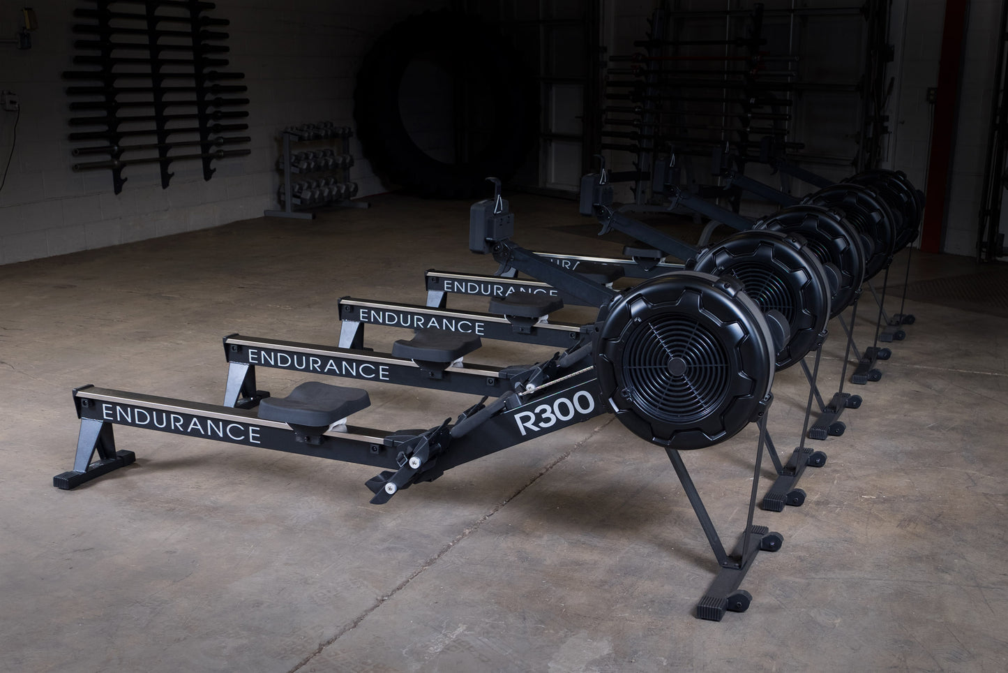 Body-Solid Endurance Indoor Rower R300